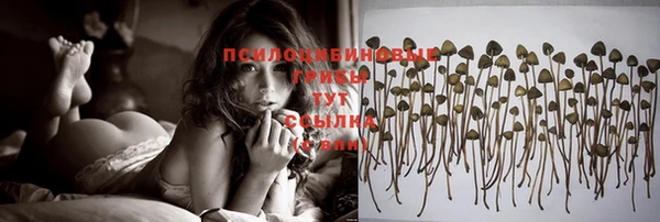 jwh Волосово