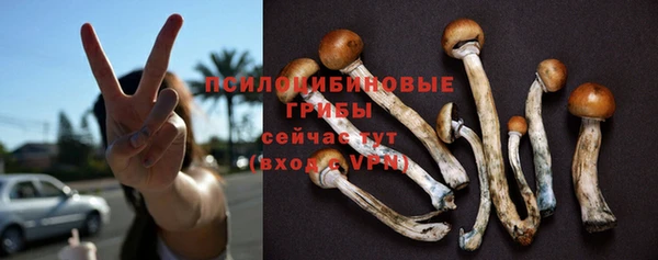 стафф Волоколамск