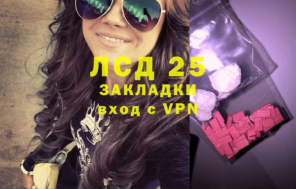 стафф Волоколамск