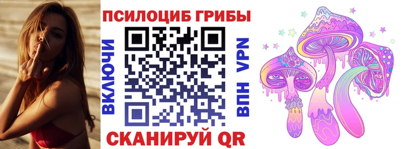 Купить где  Малоярославец  Псилоцибиновые грибы Cubensis 